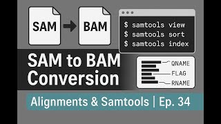 Convert SAM to BAM | Understand Alignment File Formats (SAM, BAM) | Ep. 34