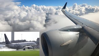 Tripreport | KLM Boeing 737-900 Skyteam Livery | Lyon - Amsterdam