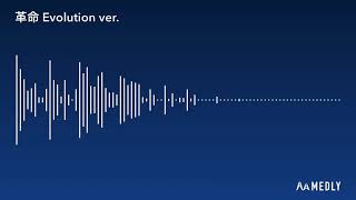 【自作曲】革命 Evolution ver.【Medly】