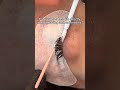 can you do a lash lift straight after removing lash extensions