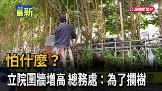 怕什麼？ 立院圍牆增高 總務處：為了攔樹－民視新聞