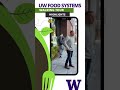 Highlights of UW Food Systems Walking Tour 2021