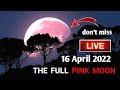 Watch Full Pink moon live April 2022! The Super Pink moon live 2022! full moon in libra .