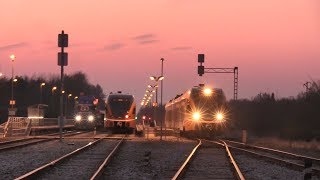 Штадлерские дизель-поезда в закате на ст. Лелле / Stadler DMU's during sunset at Lelle