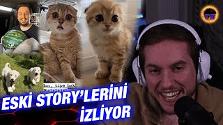 RRaenee Eski İnstagram Story'lerini İzliyor - Kedisi, Köpekleri, Ekip