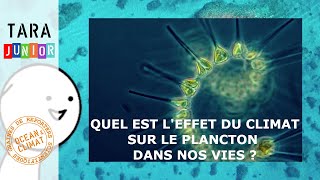 Quel est l’effet du climat sur le plancton dans nos vies ?