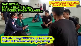 BARU KERJA 1 BULAN, TKI KOREA PINGIN PULANG | KERJA DI LUAR NEGERI TERNYATA BERAT..!!