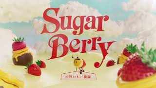 SugarBerry(杉戸いちご農園)