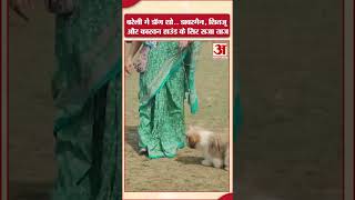 Bareilly: बरेली में डॉग शो.. डाबरमैन, शितजू और कारवन हाउंड के सिर सजा ताज | Amar Ujala |#shorts