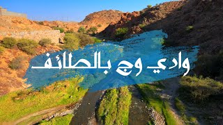 The most beautiful valleys of Taif Wadi Waj