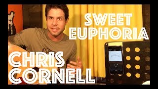 Guitar Lesson: How To Play Sweet Euphoria By Chris Cornell