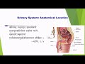 lecture on principles of human physiology in ayurveda part 6 excretion by prof. kishor patwardhan