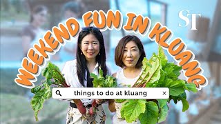 Exploring Kluang: Pasta-making, fun farms and food trails
