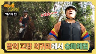 [#제주마을한바퀴] 의귀리편 - 🌳말과 함께 피톤치드 흡수중🌳