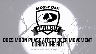 Does Moon Phase Affect Deer Movement During the Rut