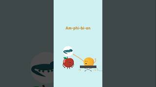 A Salamander is Most Definitely Not a Number! #spellingforkids #salamander #applevsorange