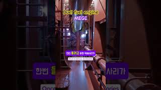 MAN B\u0026W DUEL FUEL ENGINE - 같은 월급받고 MEGI 선박 안가는 이유