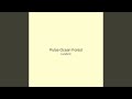 Pulse Ocean Forest