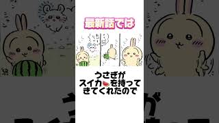 【ちいかわ】うさぎがスイカ割りをする理由