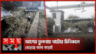 আগের তুলনায় নাটোর চিনিকলে বেড়েছে আখ মাড়াই | Natore | Sugar Mill | Sugarcane Threshing | Somoy TV