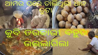 ଆମେ ସବେ ଆସି ଗଲୁ ଓଡ଼ିଶା🥰 ଆମର ଘରେ ଚାଲିଛେଧାନକୁଟା #femlyvlog #femly #hepi #vlogs #odia #youtubvlog