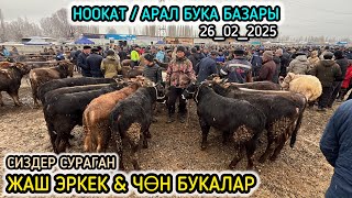 НООКАТ,АРАЛ БУКА БАЗАРЫ / 26-ФЕВРАЛЬ 2025 ЖЫЛ