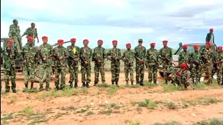 CIIDAMADA QARANKA SOMALILAND EE TOOBARKA LO GEYAY DALKA ETOBIYA OO LOSOO XIDHAY MANSHALLAAH ❤ SARA