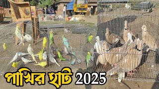 পাখির দাম 2025। বাজরিগার পাখি ঘুঘু ও পাহাড়ি মুরগীর দাম জানুন। Birds price in Bangladesh 2025