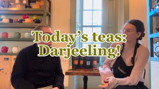 Darjeeling Teas and Flushes with Ella and Adam!