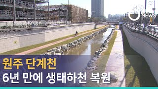 [G1뉴스]원주 단계천 6년 만에 생태하천 복원