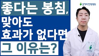 목허리통증, 관절염에 정말 좋다는 봉침, 맞아도 효과가 없다면 그 이유는?