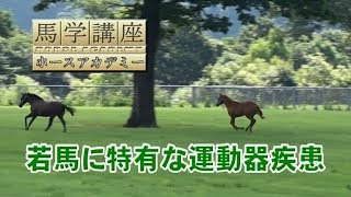 馬学講座ホースアカデミー３　５．若馬に特有な運動器疾患