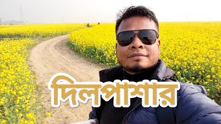 হলুদের রাজ্যে দিলপাশার, ভাংগুরা, পাবনা। #tourdesh_52