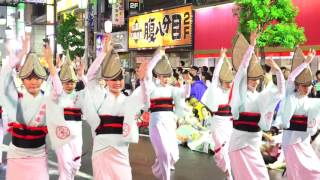 若駒連  第６０回 高円寺阿波おどり 中央演舞場