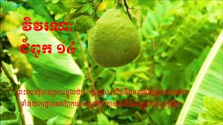 Khmer Bible Reading, Revelation Chapter 14 , វិវរណៈ ជំពូក 14