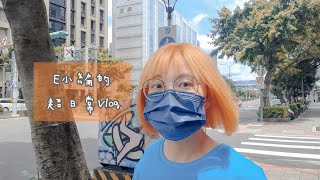 E小編的超日常迷你Vlog⚡feat. MOMAX迷你穩定器自拍三腳架KM16