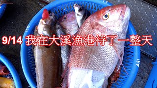 CC 9/14 我在大溪漁港待了一整天 船釣很漂亮的野生嘉鱲魚 2023