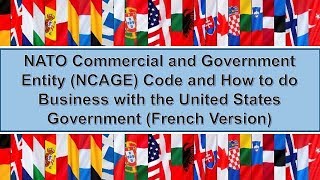 NCAGE Code (French Version 2017)