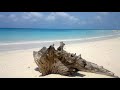 andaman and nicobar islands tourism video