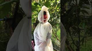 Ketemu pocong penunggu pohon #shorts #komedi #cepot