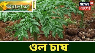 ওল চাষের প্রযুক্তিগত দিক সম্পর্কে জানালেন Haringhata Block-এর কৃষকবন্ধু NIranjan Das । অন্নদাতা