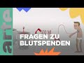 Fragestunde: Blutspende | ARTE Family