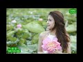 初恋（越南情歌）mối tình Đầu 华彩枫流 charlesliu