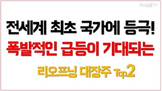 [주식] 폭발적인 급등주가 기대되는 전세계 최초 주식 추천 종목 top2