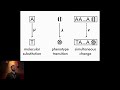 A Probabilistic Programming Approach to... - Viktor Senderov - EvolCompGen - ISMB/ECCB 2023