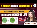 Difference Between Dicot and Monocot Leaf | 4 Marks Under 10 Minutes | NEET 2025 Botany