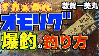 【イカメタル】オモリグ爆釣の釣り方！竿頭頂きました