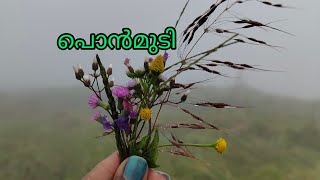 പൊൻമുടിയിൽ ഒരു ഞായറാഴ്ച 🍃🍀🌿⛰️ ! Day at Ponmudi | Ponmudi vlog