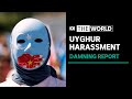 ASPI report says China's Uyghur disinformation campaign extends well beyond its borders | The World