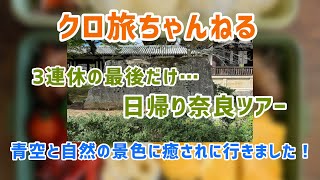 【雨の3連休日帰りドライブ旅】旅行の計画も無しになり、自堕落に過ごすがどうしても出かけたくなって早起きをしたオバさん(嫁)。お弁当持って明日香村と若草山へドライブ！鹿さん可愛かった！最後また寄り道…